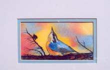 Wilderness Studio Gallery