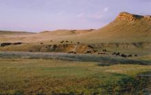 Cross M Working Guest Ranch