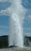 Yellowstone Yearround Adventures