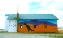Trex Agate Shop