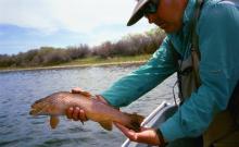 Fort Smith Fly Shop and Cabins
