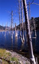Quake Lake