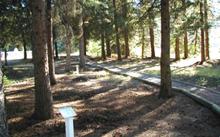 Savenac Nursery