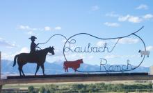 Laubach Red Angus Ranch Laubach Red Angus Ranch
