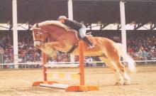 Gallatin County Fairgrounds