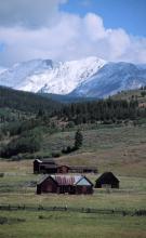 Mount Haggin Wildlife Management Area