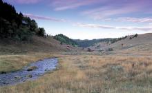 Wilderness Edge Retreat