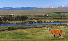 Big Trout Ranch