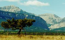 Trailsend Tours