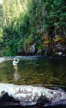 Panhandle Outfitters Inc.