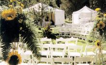 Pagliaro Wedding and Event Coordinator