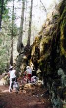 Progressive Cyclery