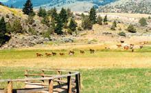 Paradise Valley Vacation Home Paradise Valley Vacation Home