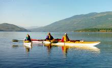 Whitefish Sea Kayaking