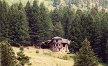 Silver Forest Inn