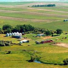 Wolff Farms