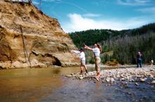 Wilderness Pack Trips Inc Wilderness Pack Trips Inc