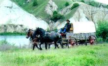 Rainbow Carriage Services, Inc. Rainbow Carriage Services, Inc.