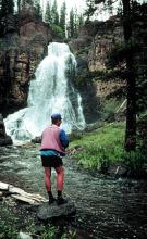 Greater Yellowstone Flyfishers Greater Yellowstone Flyfishers