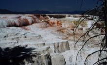 Mammoth Country