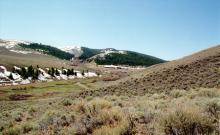 Bannock Pass Ranch