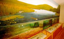 International Fly Fishing Center
