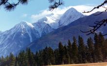 Willow Creek Campground