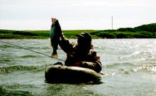 Beartooth Flyfishing Lodge