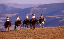 Bonanza Creek Country Guest Ranch