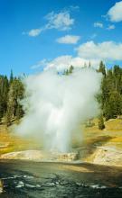 Yellowstone National Park