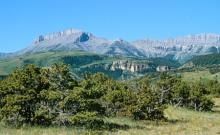 Rocky Mountain Ranger District Office