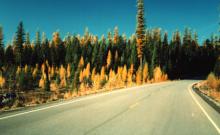 Tally Lake Ranger District