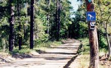 Stemple Pass Ski Trail