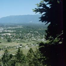 Lone Pine Overlook Trail Lone Pine Overlook Trail