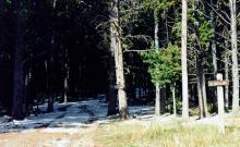 Edith Lake Trail