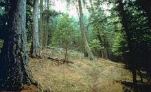 Alexander Mountain Trail