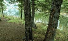 Geiger Lakes Trail