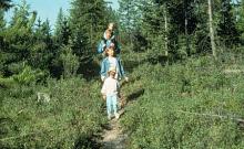 Martin Lake Trail Martin Lake Trail