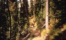 Rainbow Lake Trail