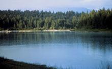 Rock Lake Campground Rock Lake Campground