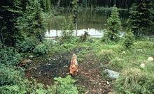 Boulder Lake Trail Boulder Lake Trail