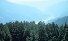 Swede Mountain Lookout-USFS Swede Mountain Lookout-USFS