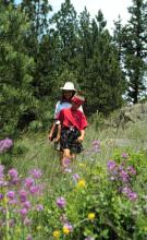 Mount Helena Ridge - National Recreation Trail Mount Helena Ridge - National Recreation Trail