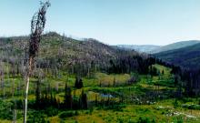 Maupin/Willard Creek Trail Maupin/Willard Creek Trail