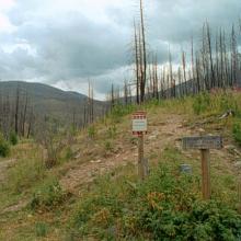 Casey Meadows Trail