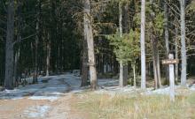 Edith Lake Trail