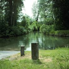 Sportsman? Bridge
