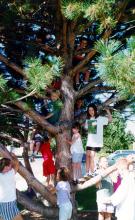 St. Stephen's Episcopal Church St. Stephen's Episcopal Church