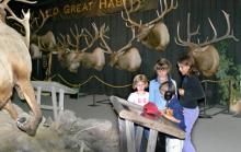 Rocky Mountain Elk Foundation Wildlife Visitor Center Rocky Mountain Elk Foundation Wildlife Visitor Center