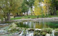 Giant Springs State Park